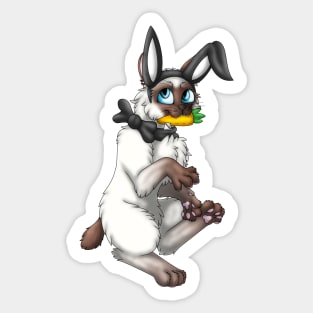 Bobtail BunnyCat: Chocolate Point (Black) Sticker